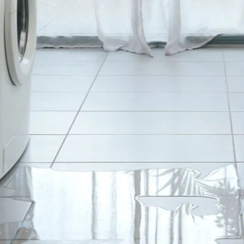 Appliance Leak Cleanup in Sweet Springs, MO
